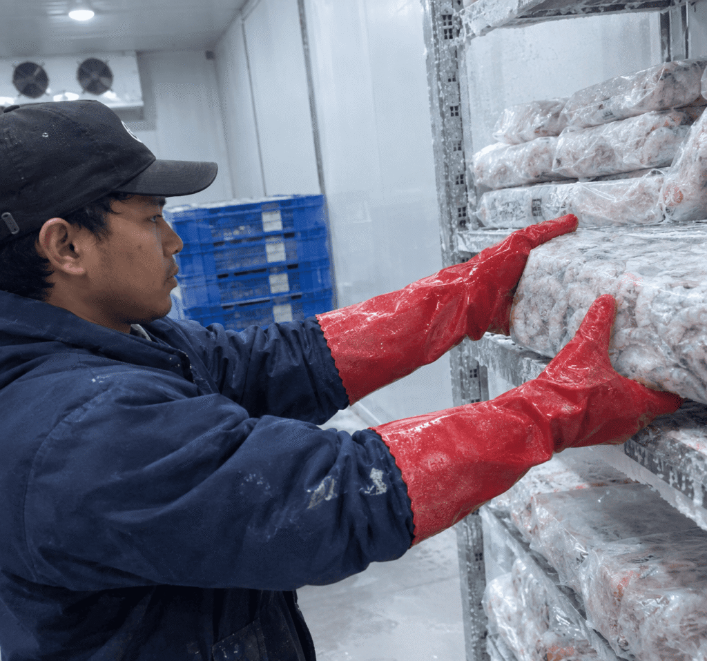 udang cold storage